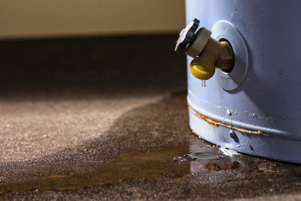 Best 24/7 water damage repair  in Crescent City, FL