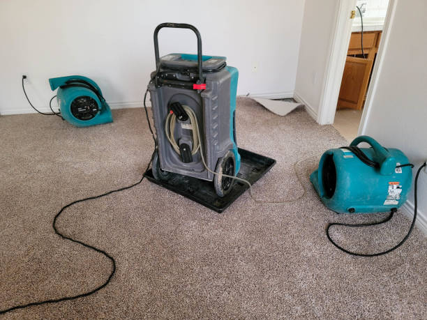 Best Carpet water damage restoration  in Crescent City, FL