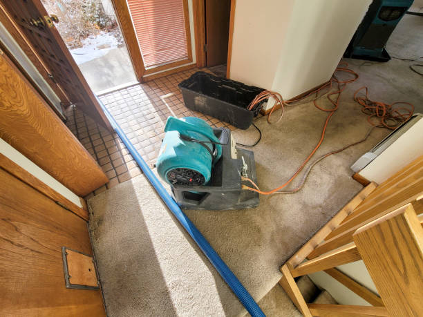 Best Ceiling water damage repair  in Crescent City, FL
