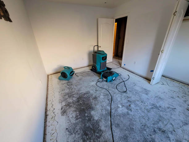 Water damage restoration process in FL
