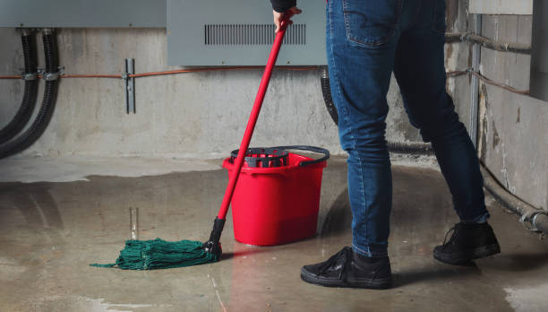 Best Emergency water damage restoration  in Crescent City, FL
