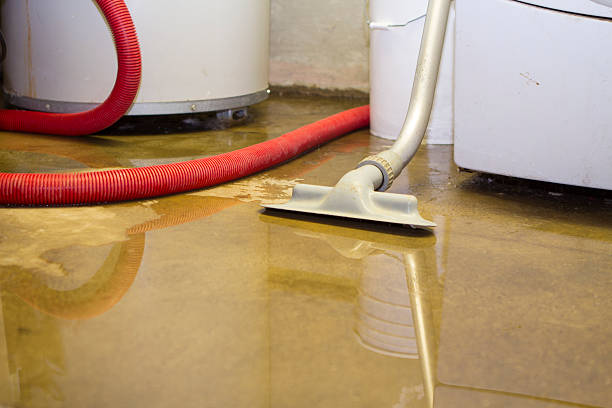 Best Water damage restoration services  in Crescent City, FL