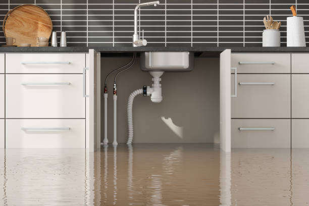 Best Water damage restoration near me  in Crescent City, FL